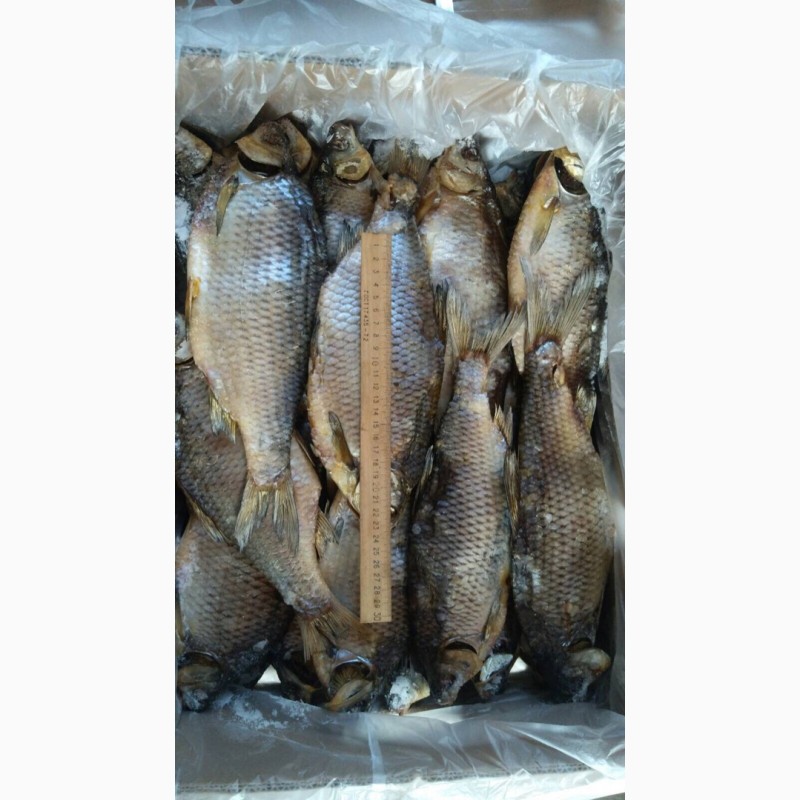 Фото 2. Продам рыбу сушёную
