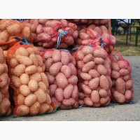 Продам картофель с доставкой по Киеву