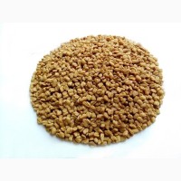 Пажитник сенной (Шамбала) семена 1 кг