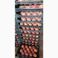 Оптовые продажи персиков