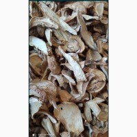 Продам білі гриби сушені зібрані в Карпатах червень2024