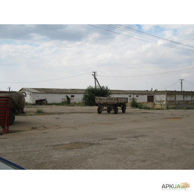 Фото 2. Продается сельхозпредприятие 1200 га в Западном Крыму