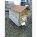 Продам вулики з бджолиними сім#039;ями.