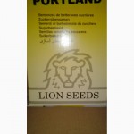 Насіння цукрового буряка Lion seeds