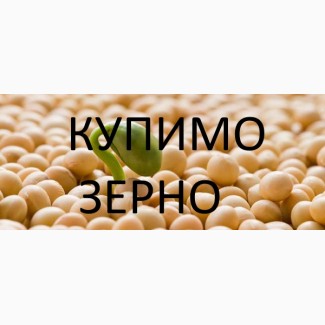 Закуповуємо сою якість відповідно до Держстандарту по Закарпатській області