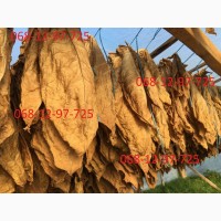 Продам листя Табака вирджиния средняя крепость