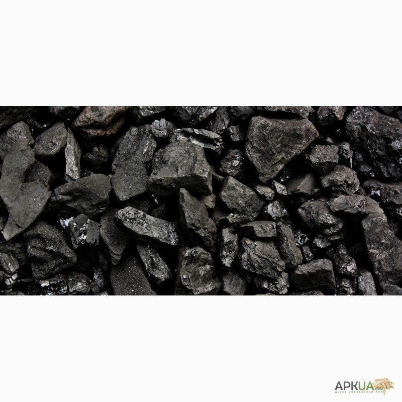 Фото 10. Уголь каменный доступный для всех
