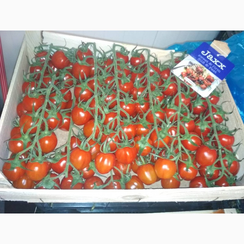 Фото 3. Продаем помидоры черри оптом, мелким оптом
