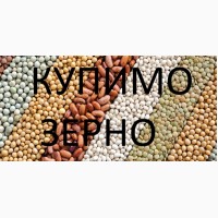 Закуповуємо сою по Львівській області