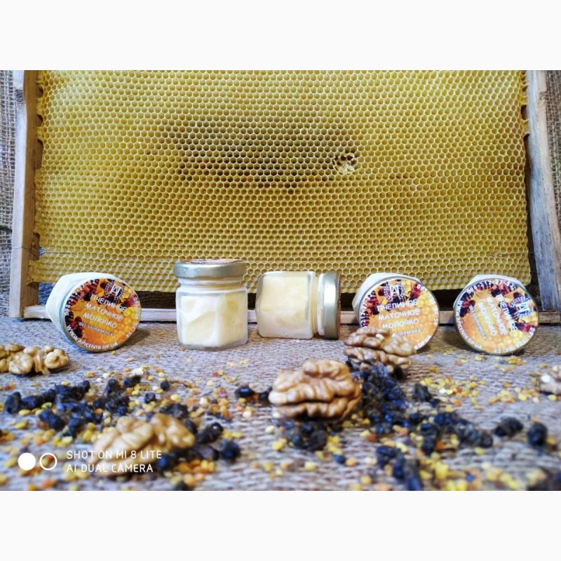 Фото 3. Пчелиное Маточное Молочко
