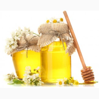 Компания экспортер закупает мед