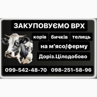 Заготівля КУПЛЮ ВРХ