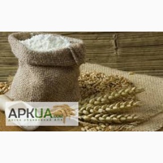 Продам канадскую пшеницу сорт Тесла, Днепропетровская обл