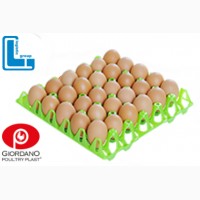 Лоток для яиц, лотки для яиц, лотки для куриных яиц, пластиковые лотки для яиц