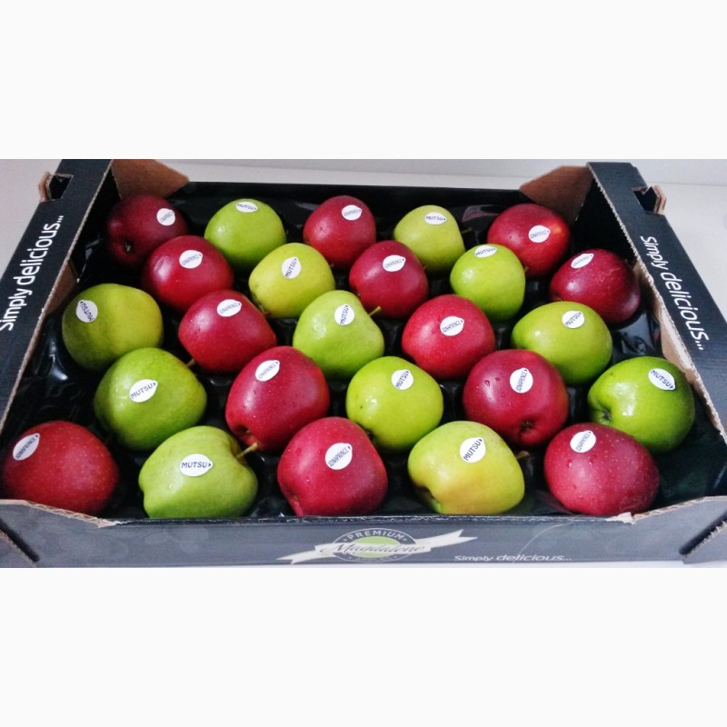 Фото 2. Польские яблоки разных сортов