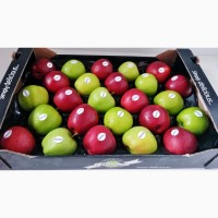 Польские яблоки разных сортов