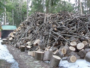 Фото 4. Закупаем отходы древесины от 500 м куб