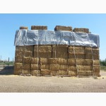 Продаем солому тюкованную просяную, пшеничную урожая 2015 года