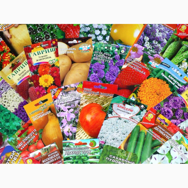 Фото 2. Семена овощей и цветов доставка почтой по Украине