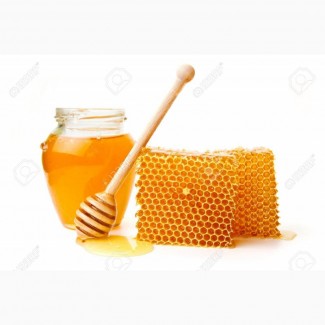 Куплю мёд с антибиотиком или забродивший
