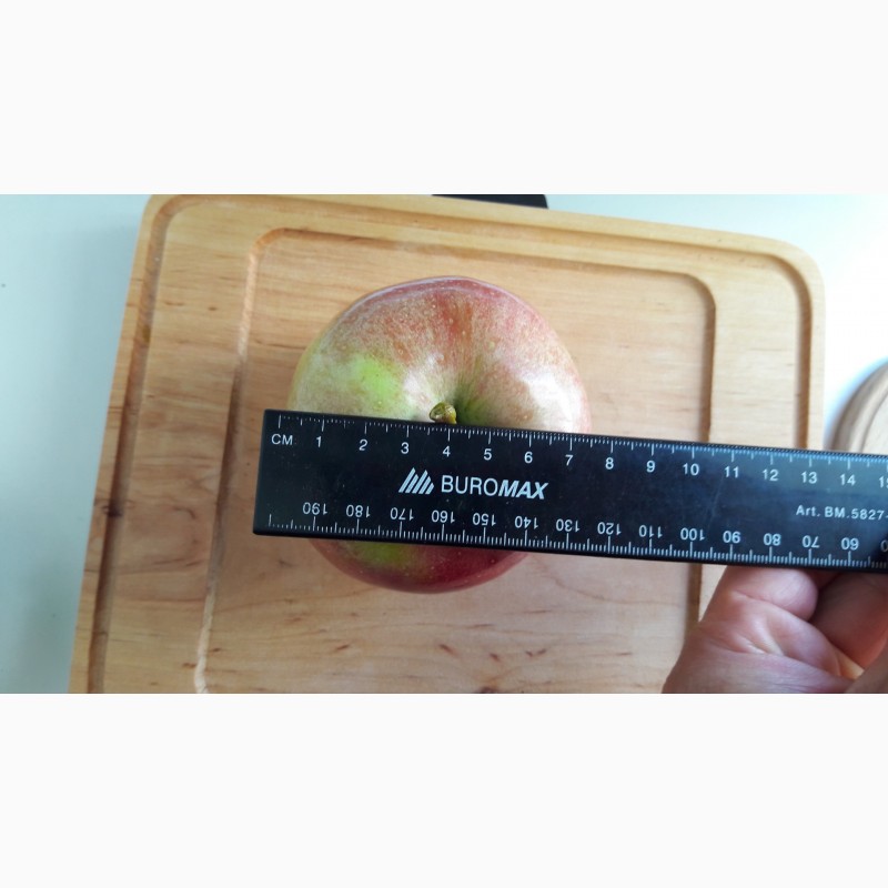Фото 4. Продам яблоки летние Граф Эззо.Опт