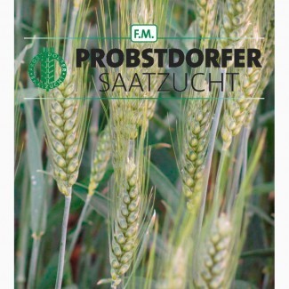 Семена озимой пшеницы Галлио, Адессо, Роланд, Мидас, Балатон (Австрия)