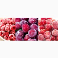 Заморозка та охолодження овочів та фруктів