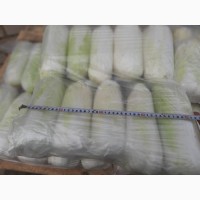 Продаем пекинскую капусту