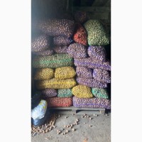 Продам бойный орех 2 тонны от населения