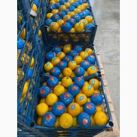 Прямые поставки Лимонов из Турции, экспорт