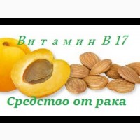 Косточка абрикоса, витамин В17