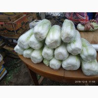 Продам пекинскую капусту Билко