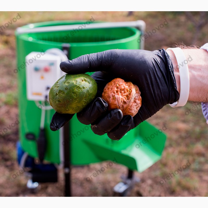 Фото 3. Очищувач волоського горіха від зеленої шкірки (300 кг/год)