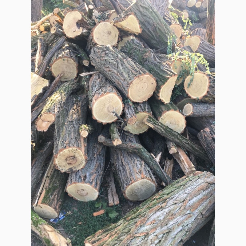 Фото 10. Продам дрова твердых пород (дуб, ясень, акация) а также фруктовые дрова