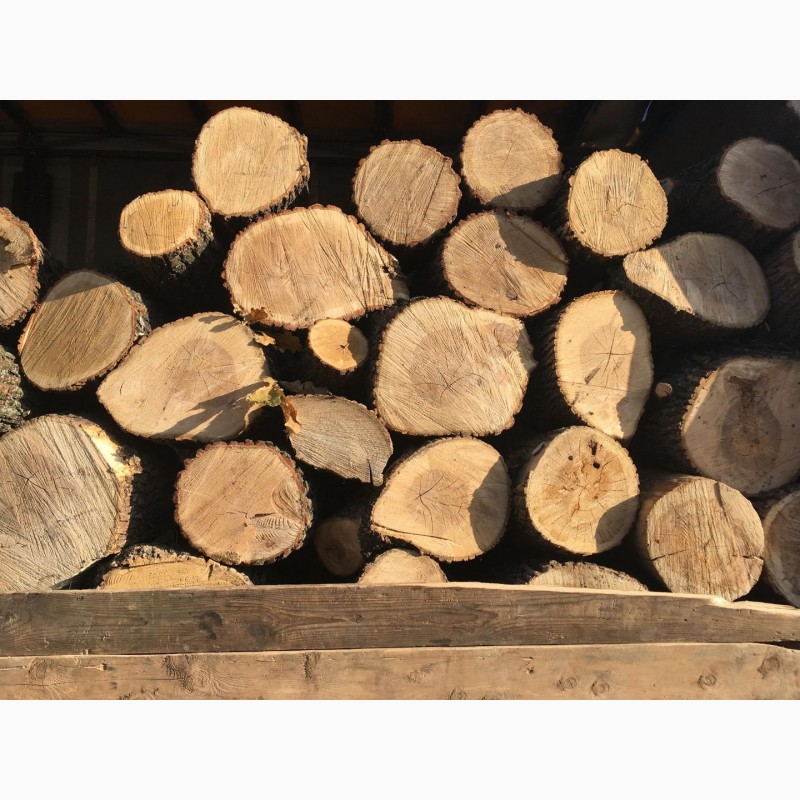 Фото 2. Продам дрова твердых пород (дуб, ясень, акация) а также фруктовые дрова