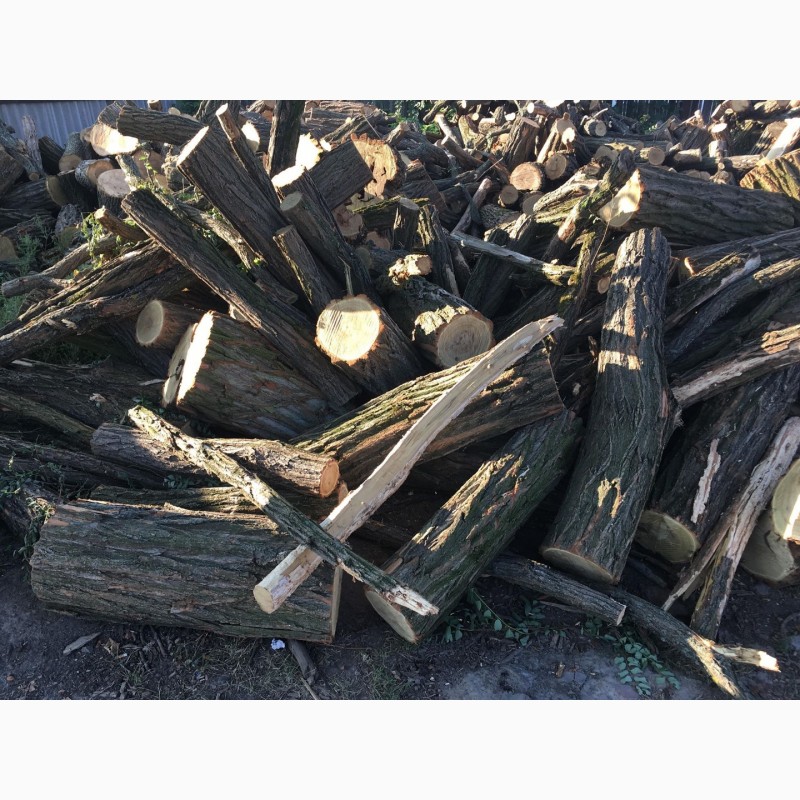 Фото 5. Продам дрова твердых пород (дуб, ясень, акация) а также фруктовые дрова