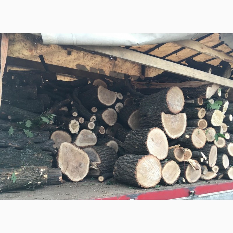 Фото 9. Продам дрова твердых пород (дуб, ясень, акация) а также фруктовые дрова
