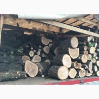 Продам дрова твердых пород (дуб, ясень, акация) а также фруктовые дрова