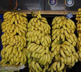 Фото 3. Продаем бананы из Турции