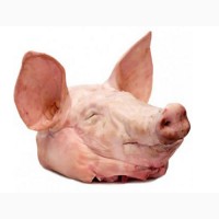 Продам свиные головы - охлажденная свинина и субпродукты оптом