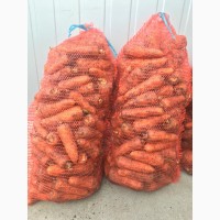 Морква оптом каскад