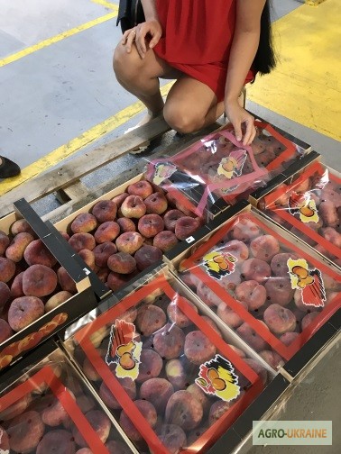 Фото 11. Продаем парагвайский персик