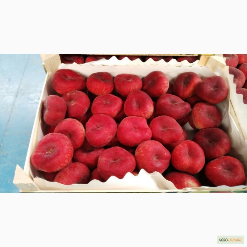Фото 12. Продаем парагвайский персик