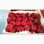 Продаем парагвайский персик