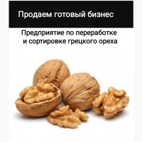 Продаем предприятие по переработке и сортировке грецкого орех