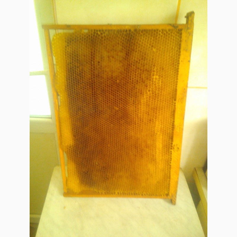 Фото 5. Продам мазь из чистотела с пчелиным воском и прополисом, 2023 г
