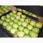 Яблоки из Польши, Свежие яблоки