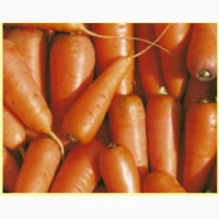 Мойка, Шлифовка и Упаковка Овощей (картофель, морковь, свекла и тд)