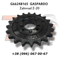 G66248165 Зірочка Z-20 Gaspardo