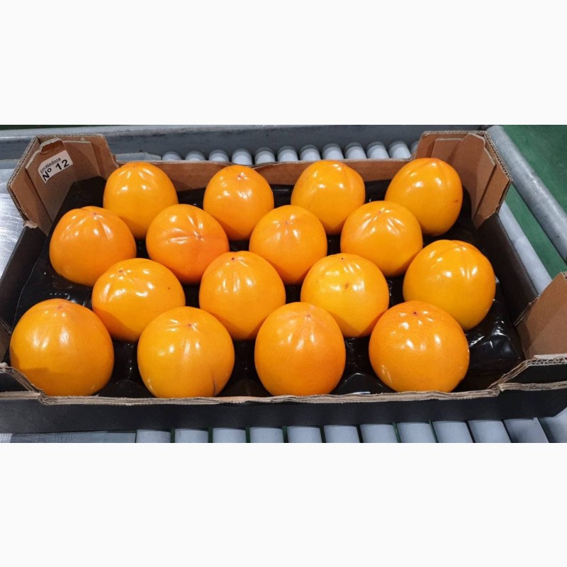 Фото 3. Испанские апельсины, мандарины, хурма, лимон, грейпфрут